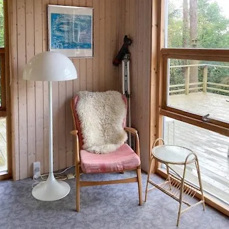 Secluded In The Middle Of The Forest